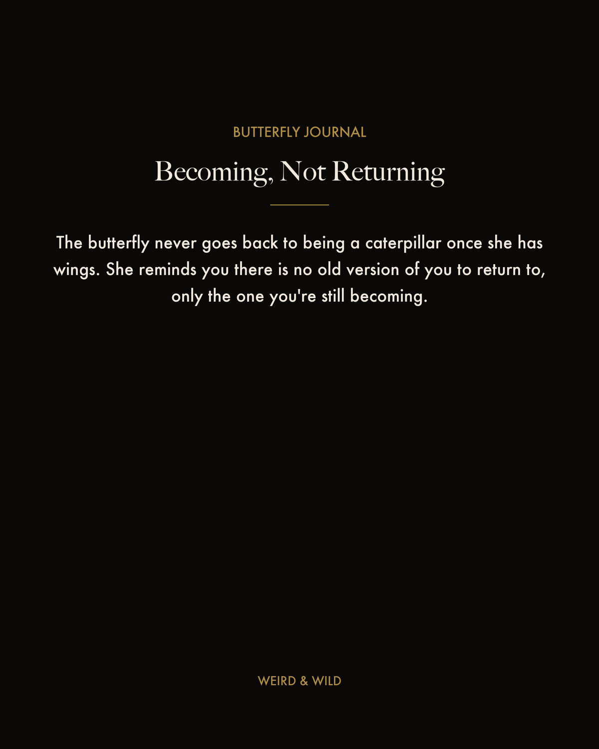 Coming Soon — Butterfly Journal