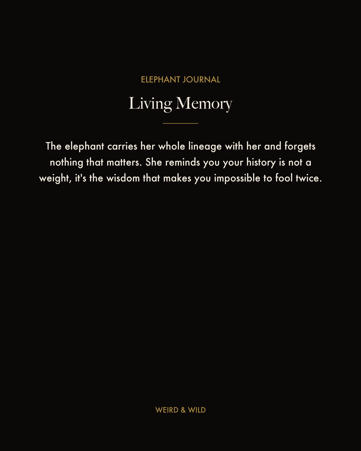 Coming Soon — Elephant Journal