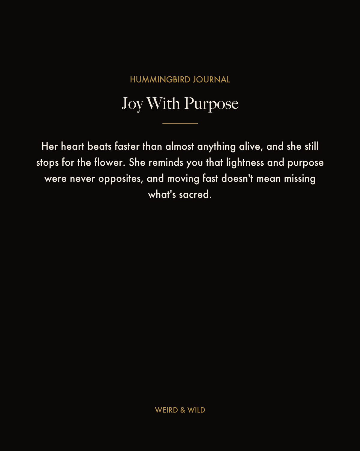 Coming Soon — Hummingbird Journal