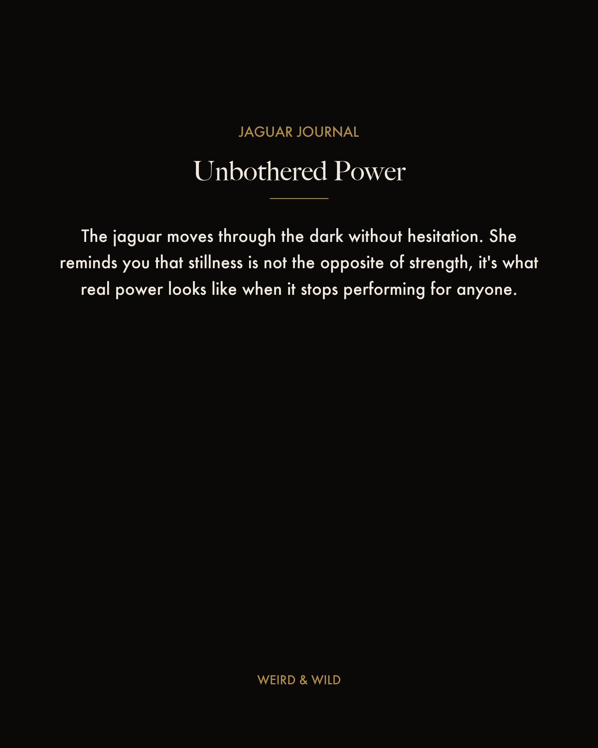 Coming Soon — Jaguar Journal