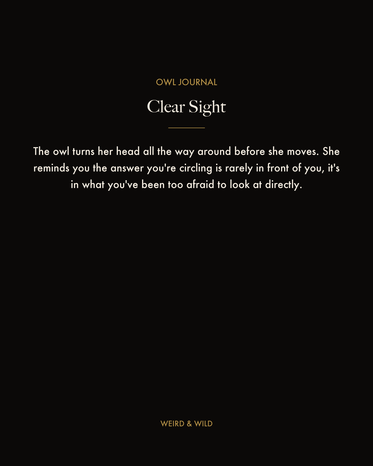 Coming Soon — Owl Journal
