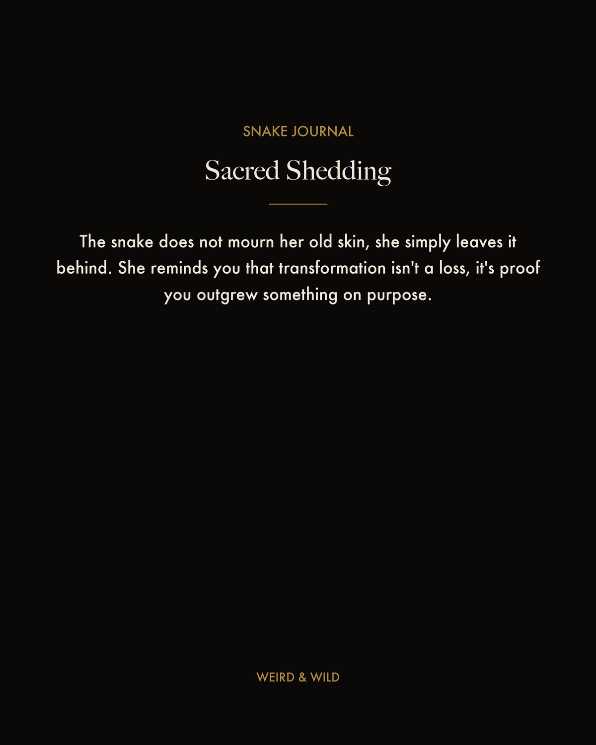Coming Soon — Snake Journal
